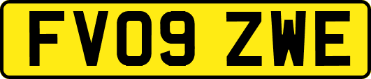 FV09ZWE