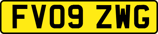 FV09ZWG