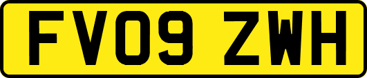 FV09ZWH