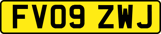 FV09ZWJ