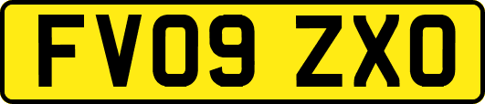 FV09ZXO
