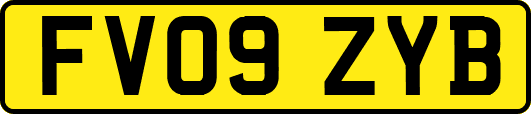 FV09ZYB
