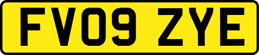 FV09ZYE