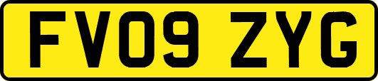 FV09ZYG