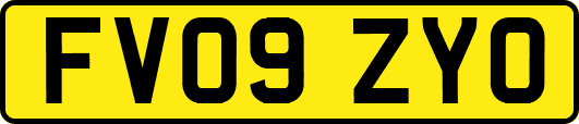 FV09ZYO