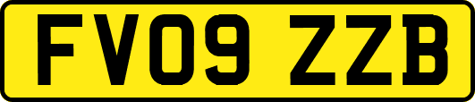 FV09ZZB