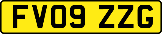 FV09ZZG