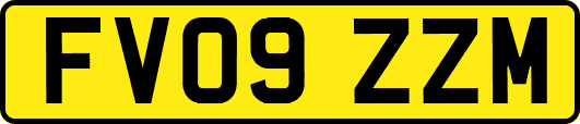 FV09ZZM