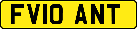 FV10ANT