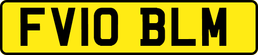 FV10BLM