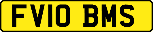 FV10BMS