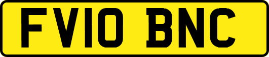 FV10BNC