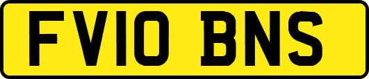 FV10BNS