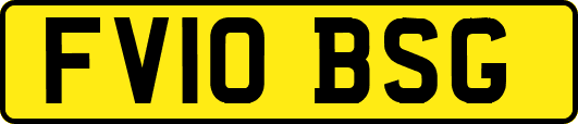 FV10BSG