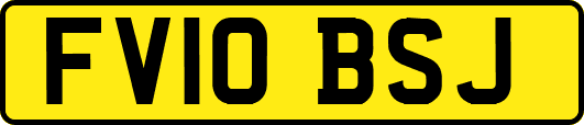 FV10BSJ