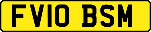 FV10BSM