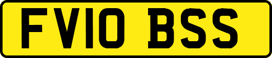 FV10BSS