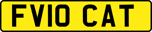 FV10CAT