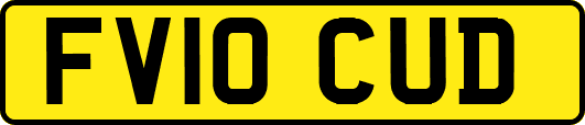 FV10CUD