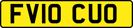 FV10CUO