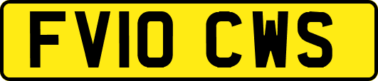 FV10CWS