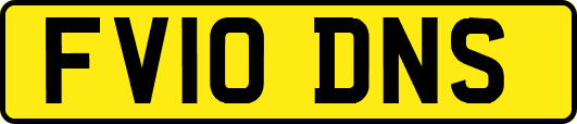 FV10DNS
