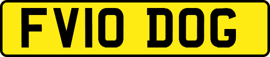 FV10DOG
