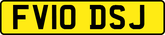 FV10DSJ