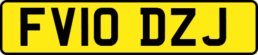 FV10DZJ