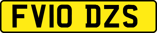 FV10DZS