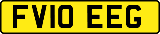FV10EEG