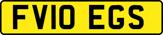 FV10EGS
