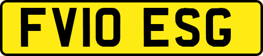 FV10ESG