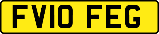 FV10FEG