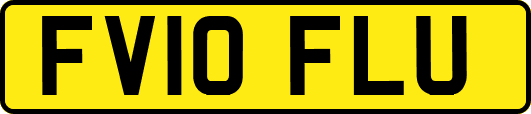 FV10FLU