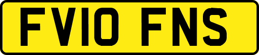 FV10FNS