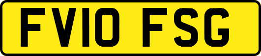 FV10FSG