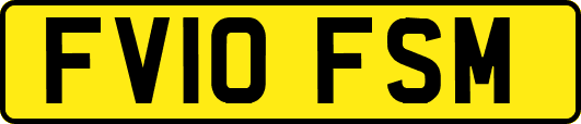 FV10FSM