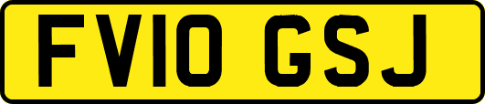 FV10GSJ