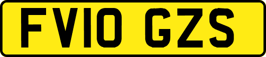 FV10GZS