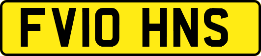 FV10HNS