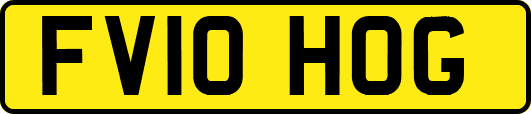 FV10HOG