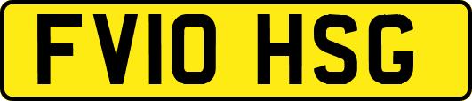 FV10HSG