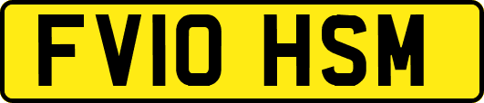 FV10HSM