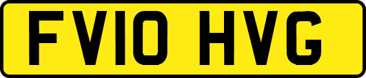 FV10HVG