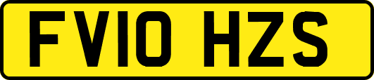 FV10HZS