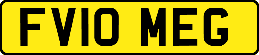 FV10MEG