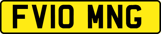 FV10MNG