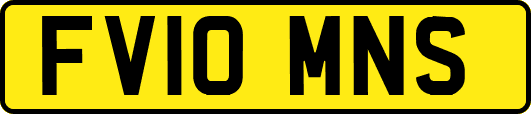 FV10MNS