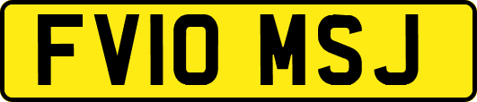 FV10MSJ